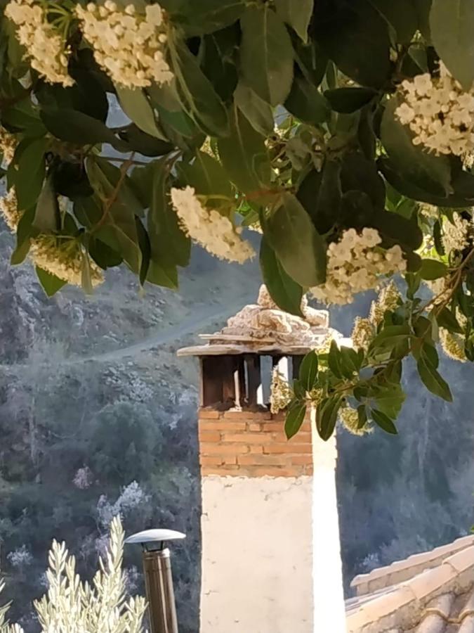 Cortijo La Solana Guest House Guejar Sierra Luaran gambar