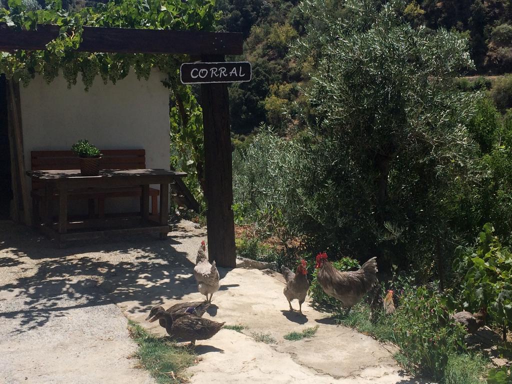 Cortijo La Solana Guest House Guejar Sierra Luaran gambar